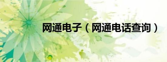 网通电子（网通电话查询）