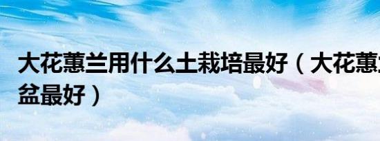 大花蕙兰用什么土栽培最好（大花蕙兰用什么盆最好）