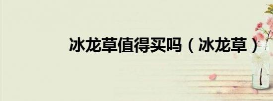 冰龙草值得买吗（冰龙草）