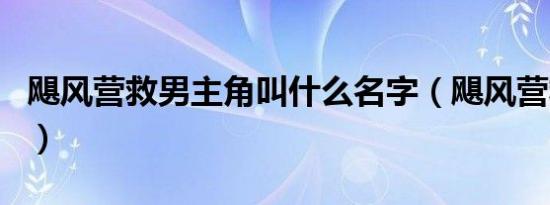 飓风营救男主角叫什么名字（飓风营救男主角）