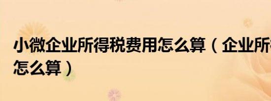 小微企业所得税费用怎么算（企业所得税费用怎么算）