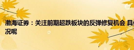 渤海证券：关注前期超跌板块的反弹修复机会 具体是什么情况呢