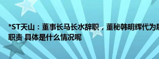 *ST天山：董事长马长水辞职，董秘韩明辉代为履行董事长职责 具体是什么情况呢