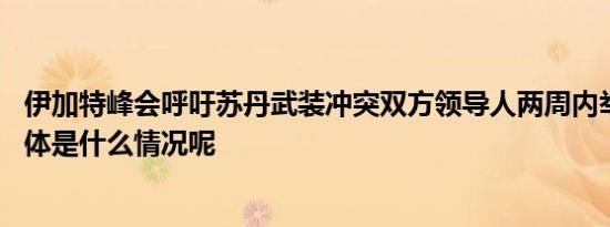 伊加特峰会呼吁苏丹武装冲突双方领导人两周内举行会晤 具体是什么情况呢