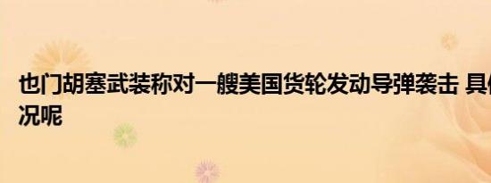 也门胡塞武装称对一艘美国货轮发动导弹袭击 具体是什么情况呢