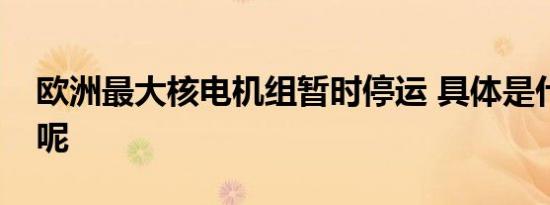 欧洲最大核电机组暂时停运 具体是什么情况呢