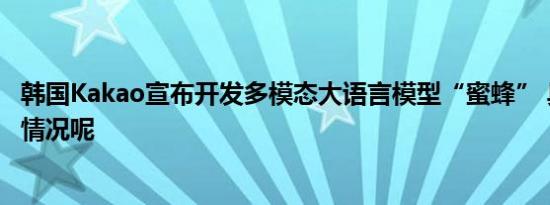 韩国Kakao宣布开发多模态大语言模型“蜜蜂” 具体是什么情况呢