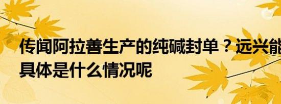 传闻阿拉善生产的纯碱封单？远兴能源回应 具体是什么情况呢