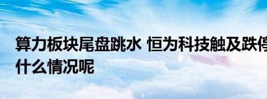 算力板块尾盘跳水 恒为科技触及跌停 具体是什么情况呢