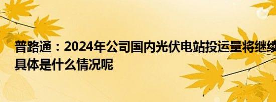 普路通：2024年公司国内光伏电站投运量将继续稳步增长 具体是什么情况呢