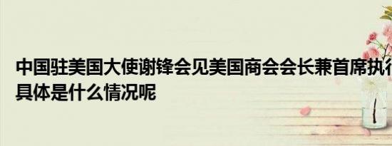 中国驻美国大使谢锋会见美国商会会长兼首席执行官克拉克 具体是什么情况呢