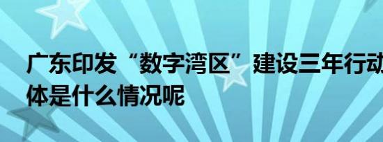 广东印发“数字湾区”建设三年行动方案 具体是什么情况呢