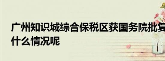 广州知识城综合保税区获国务院批复 具体是什么情况呢
