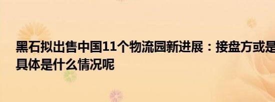 黑石拟出售中国11个物流园新进展：接盘方或是平安海控 具体是什么情况呢