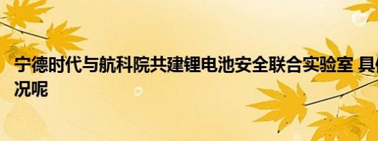 宁德时代与航科院共建锂电池安全联合实验室 具体是什么情况呢