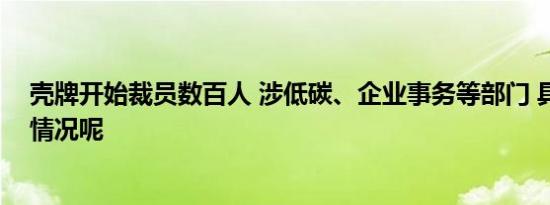 壳牌开始裁员数百人 涉低碳、企业事务等部门 具体是什么情况呢