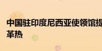 中国驻印度尼西亚使领馆提醒中国公民防范登革热