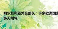 阿尔及利亚外交部长：许多欧洲国家要求阿尔及利亚提供更多天然气