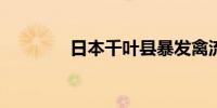 日本千叶县暴发禽流感疫情