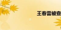 王春雷被查