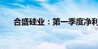 合盛硅业：第一季度净利润5.278亿元