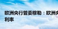欧洲央行管委穆勒：欧洲央行可能在6月降低利率