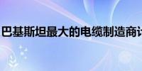 巴基斯坦最大的电缆制造商计划本月出售股票