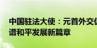 中国驻法大使：元首外交促深化合作 中法共谱和平发展新篇章