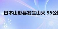 日本山形县发生山火 95公顷山林已被烧毁