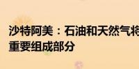 沙特阿美：石油和天然气将继续是能源结构的重要组成部分