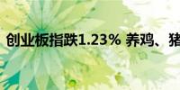 创业板指跌1.23% 养鸡、猪肉板块表现活跃