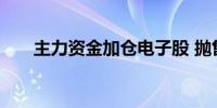主力资金加仓电子股 抛售食品饮料股