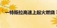 一特斯拉高速上起火燃烧？上海警方通报