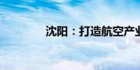 沈阳：打造航空产业新高地