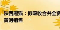 陕西黑猫：拟吸收合并全资子公司新丰科技与黄河销售