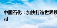 中国石化：加快打造世界领先洁净能源化工公司