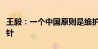 王毅：一个中国原则是维护台海和平的定海神针