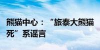 熊猫中心：“旅泰大熊猫‘林惠’是被殴打致死”系谣言