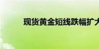 现货黄金短线跌幅扩大至15美元