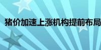 猪价加速上涨机构提前布局这些生猪养殖股