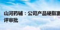 山河药辅：公司产品硬脂富马酸钠通过CDE审评审批