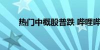 热门中概股普跌 哔哩哔哩跌超12%