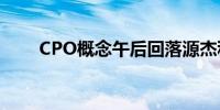 CPO概念午后回落源杰科技跌超5%