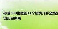 标普500指数的11个板块几乎全线溃败英伟达拉动科技板块创历史新高