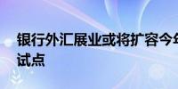 银行外汇展业或将扩容今年有望新增10余家试点