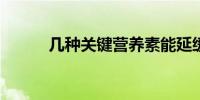 几种关键营养素能延缓大脑衰老