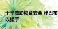 干旱威胁粮食安全 津巴布韦呼吁国际社会施以援手