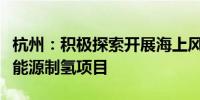 杭州：积极探索开展海上风电、光伏等可再生能源制氢项目