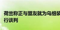 荷兰称正与盟友就为乌组装“爱国者”系统进行谈判