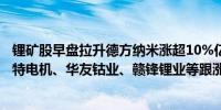 锂矿股早盘拉升德方纳米涨超10%亿纬锂能、融捷股份、江特电机、华友钴业、赣锋锂业等跟涨